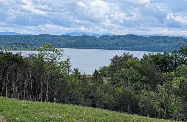 Like New Lake & Mountain View Serenity from every room in the house!