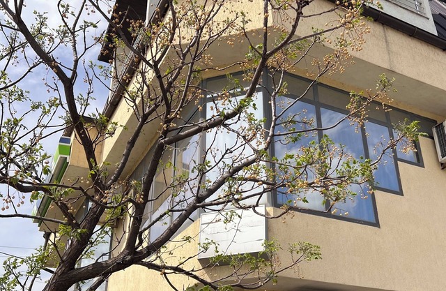 Lindi Premium Hotel