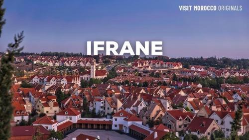 Lion D'ifrane