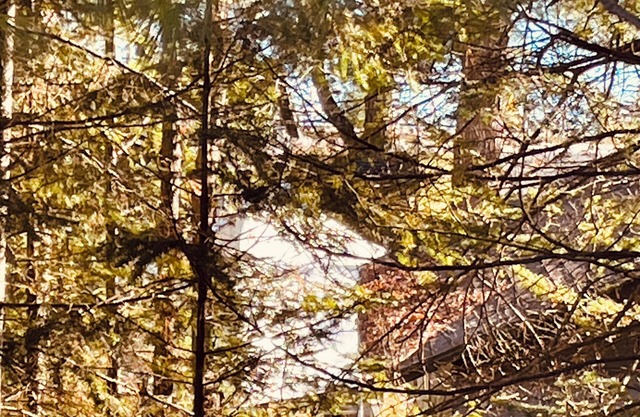 Little Duck Cottage is close to so many northern Michigan activities. Lakeview