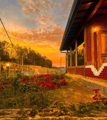 Little England Cabins