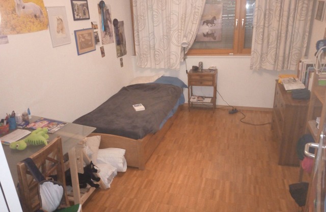Location Appartement Semaine de Noël Proche Lausanne