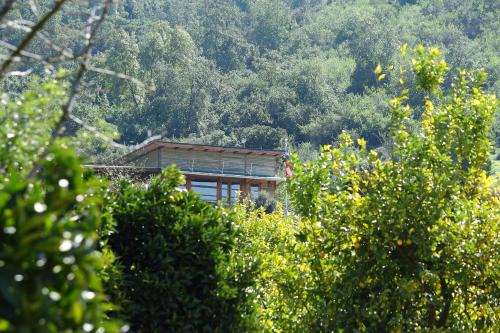 Lodge Colchagua Camp