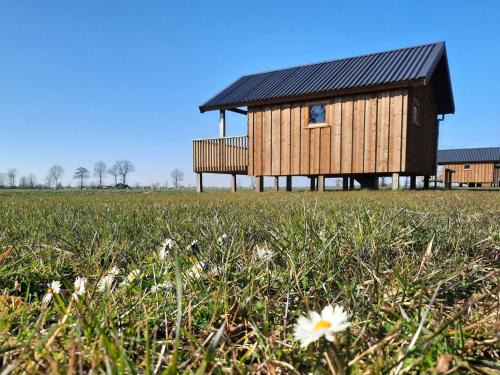 Lodge in Drenthe with Scenic Veranda
