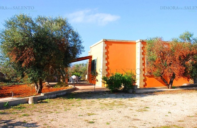 Lodge