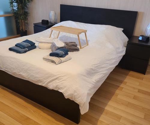 Loft de 130 m2 avec spa et billard au cœur de BREST