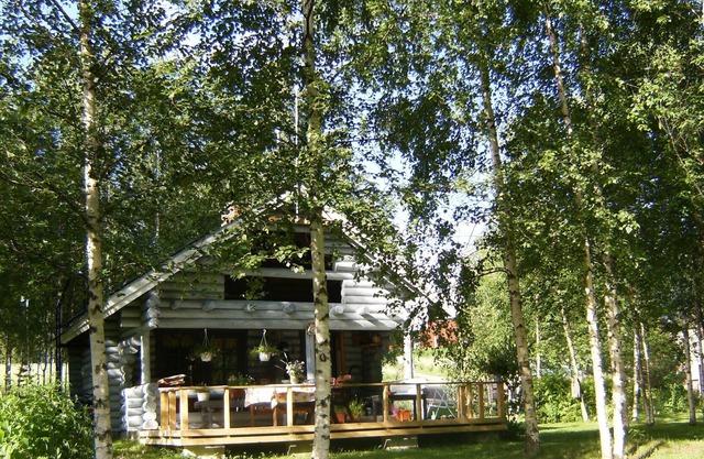 Log cabin Hopeavirran Helmi