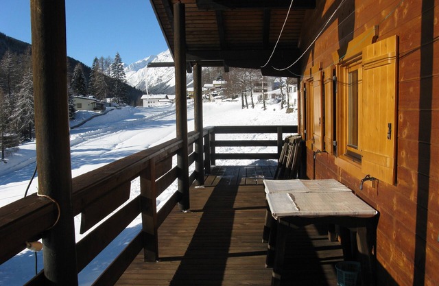 Log house with plenty of space for children, pets welcome Haflinger horses