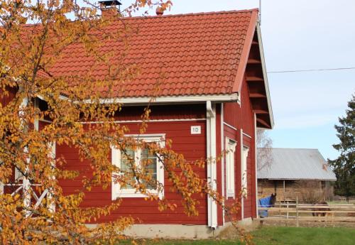 Lomakivi