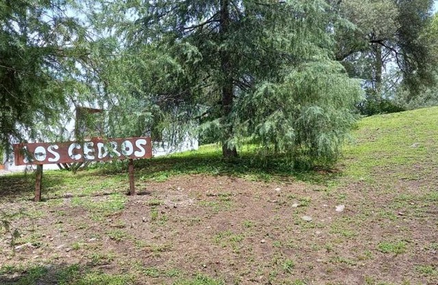 Los Cedros