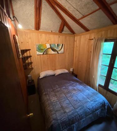 Los ulmos de ralun logde