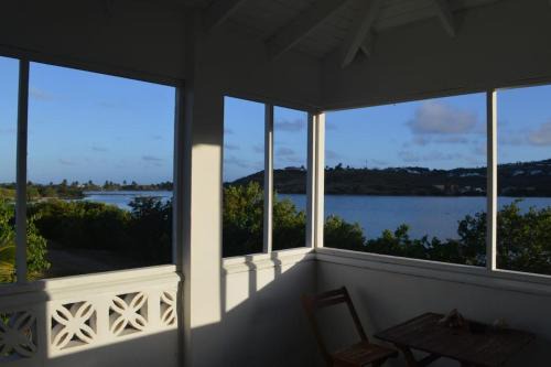 Lost in paradise