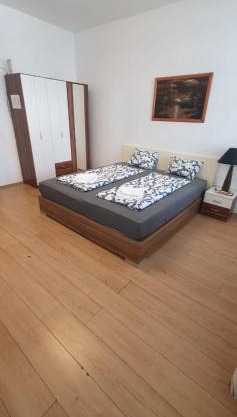 Lovely 1BR Apt in the Heart of Vienna