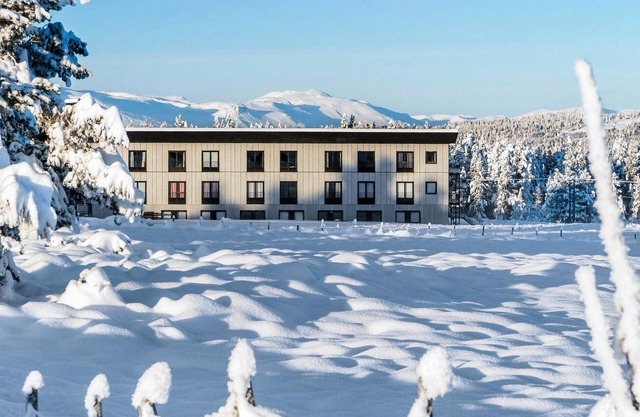 Lovely apartment in Tisleidalen