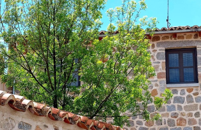 Lovely country house in Avila
