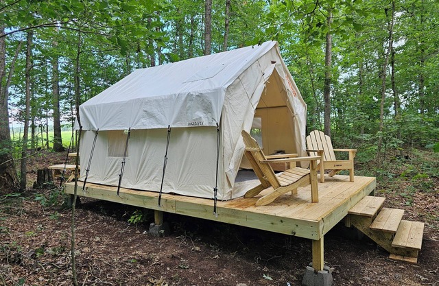 Lovely glamping site off the beaten path in a beautiful wooded setting.
