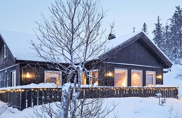 Lovely home in Eggedal with WiFi