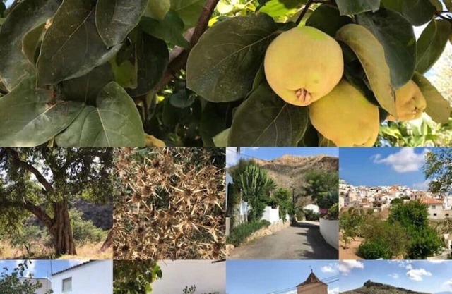 Lovely Villa in a protected Mountain Rural Setting