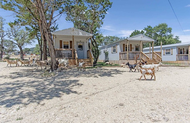Lucky Star Ranch in Bandera
