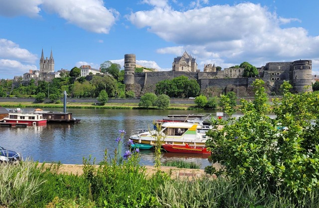 Lumineux T2 Face à la Maine et au Château D'angers