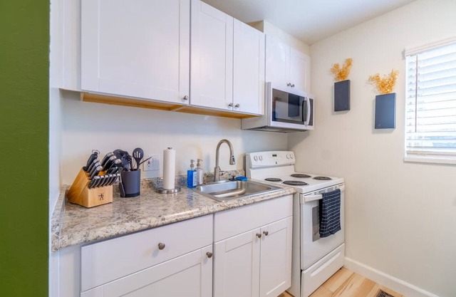 Luxe Loft - UNR Pet Friendly