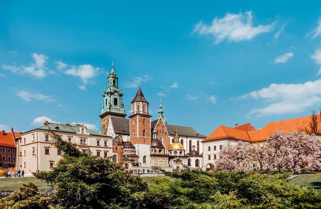 Luxe Stay near Wawel Castle | Modern Amenities | Vibrant Downtown Dining