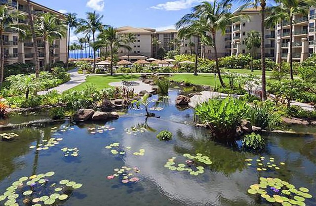 Luxe Westin Kaanapali Ocean Resort,Sleep 4, full resort access. STEEP DISCOUNT !