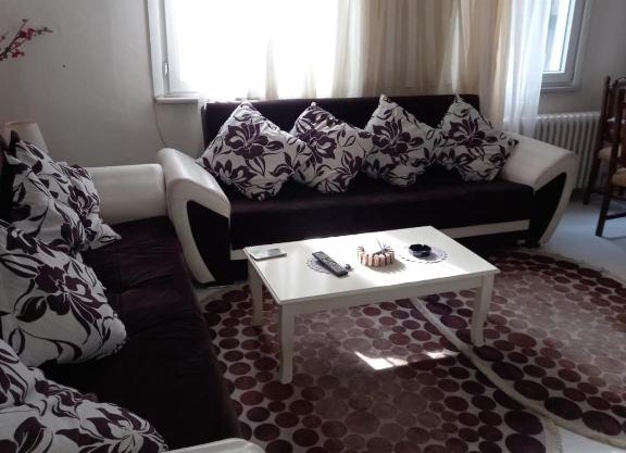 Luxurious apartment for tourist rent