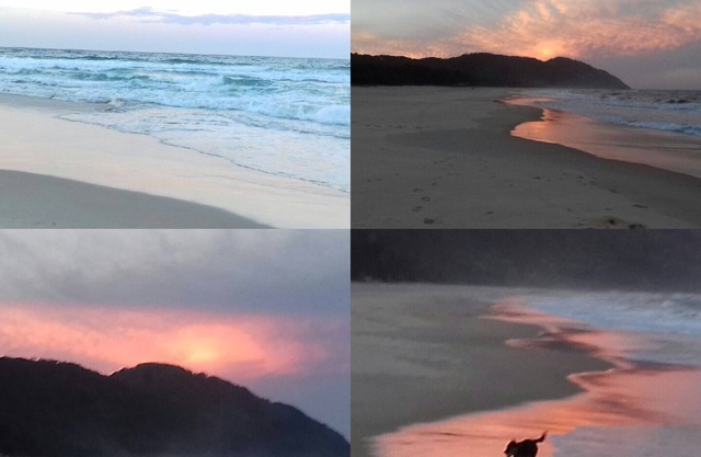 Luxury accommodation in beautiful Scott's Head. Best of beach and bush views.
