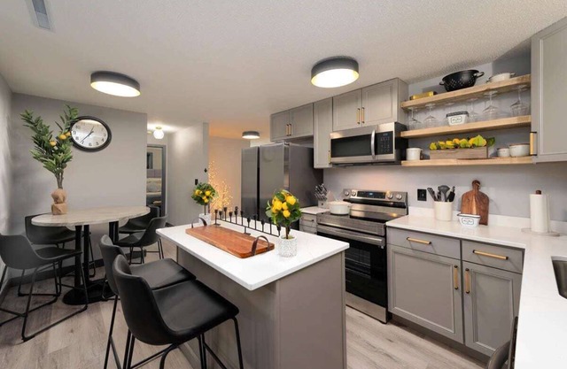 Luxury Apartment in the heart of downtown EGF