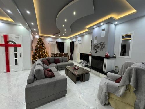 Luxury apartment