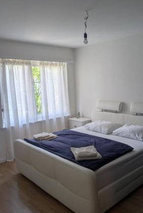 Luxury Apartment in very Good Location near Basel City