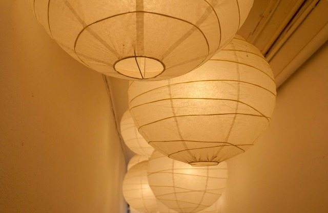 LUXURY APARTMENT STANCESVIC 2