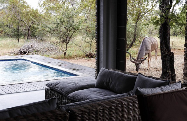 Luxury Bush house near famous Kruger National Park