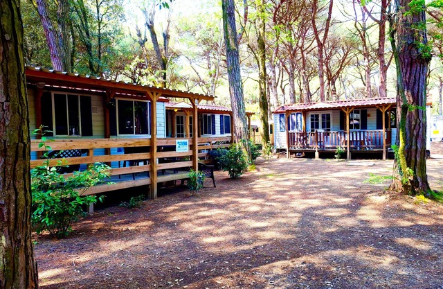 Luxury Chalet near the sea! (no: 727)