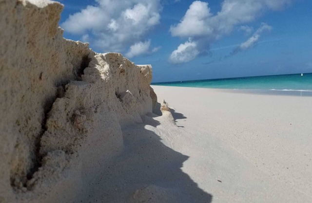 Luxury Eagle Beach Apart Ground Floor with Direct Pool Access one step Beach