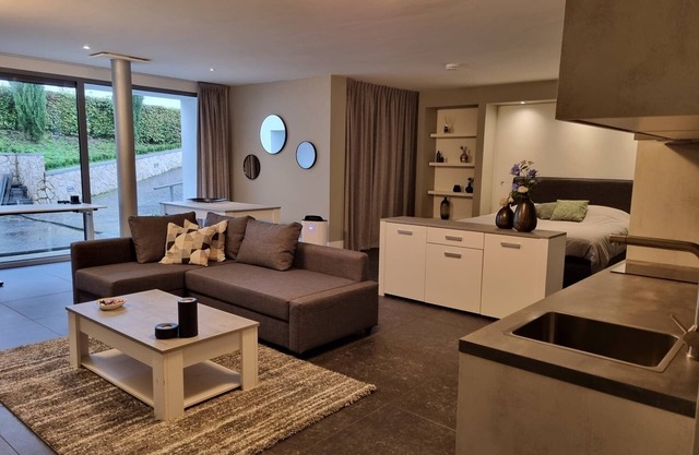 Luxury family apartment