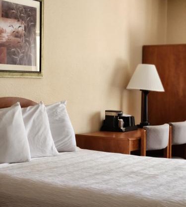 Luxury Inn & Suites