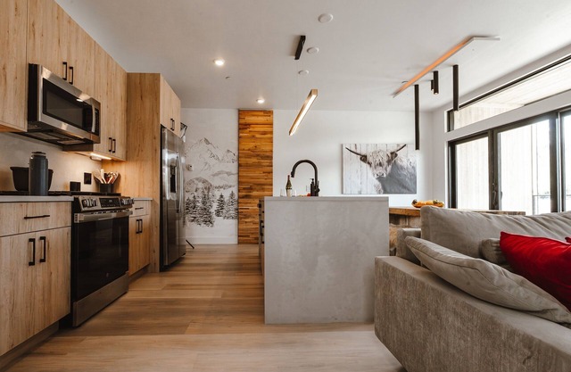 Luxury modern | Central Ski | No stairs | EV!