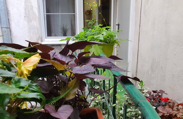 Luxury studio at the very old town