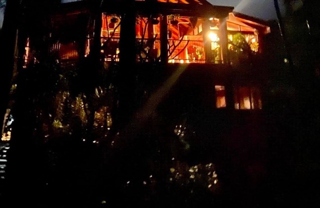 Luxury Treehouse on the Beach. Rainforest Paradise. Remote