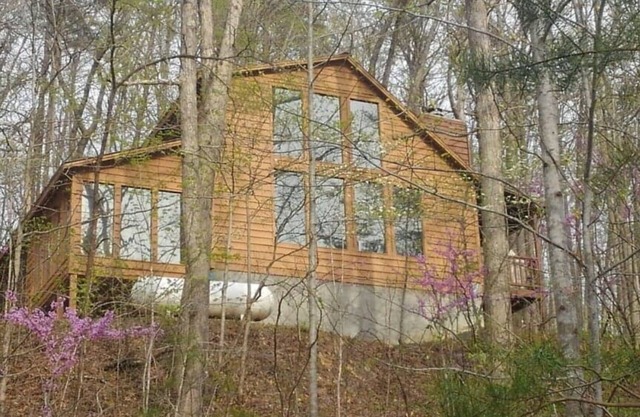 LuxuryCabin! Hottub Wi-fi PoolTable ChaletWindows 4SeasonsSunroom BabuThe9ftBear