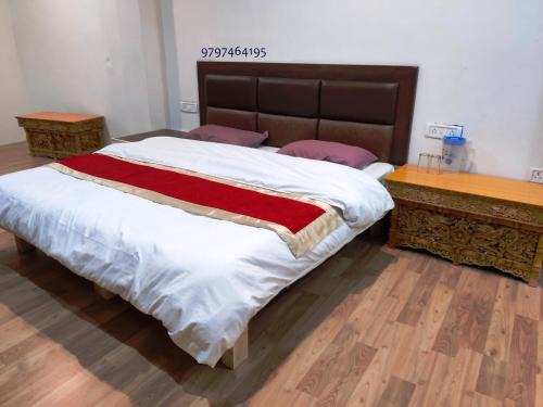 Lynx near Leh airport