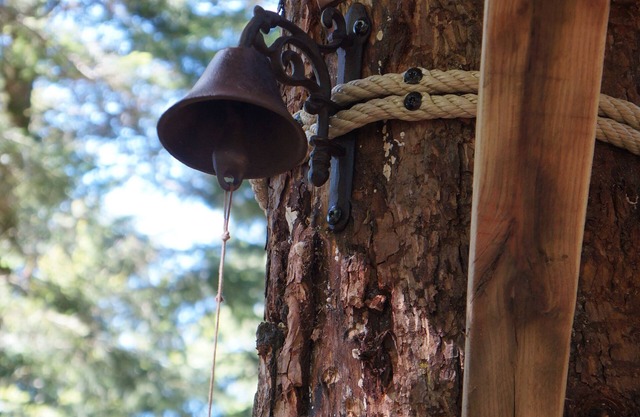 Méïzou des Puys tree house