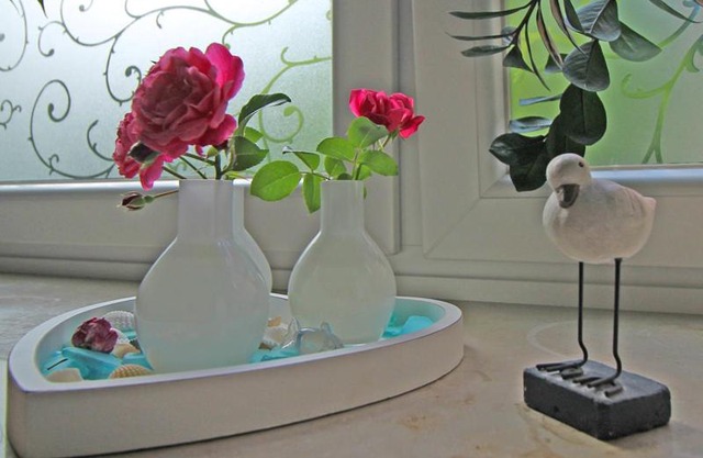 Möwennest am Ihlsee