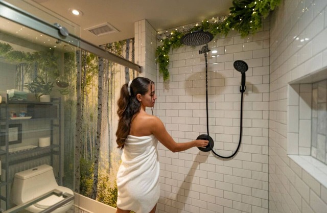 Magical & Cozy: King Bed, Twinkle-Light Shower, Rooftop Views