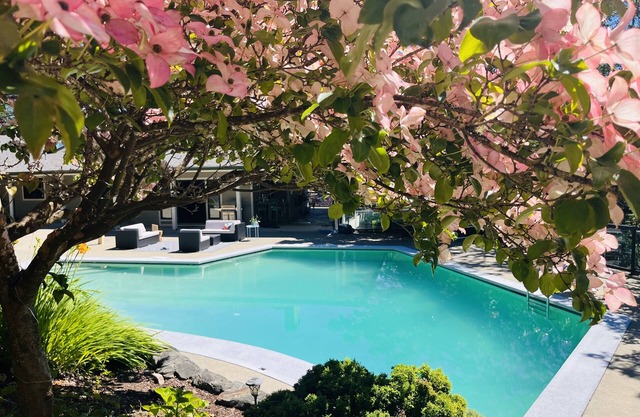 Magical Farm Villa with Heated Salt Water Pool