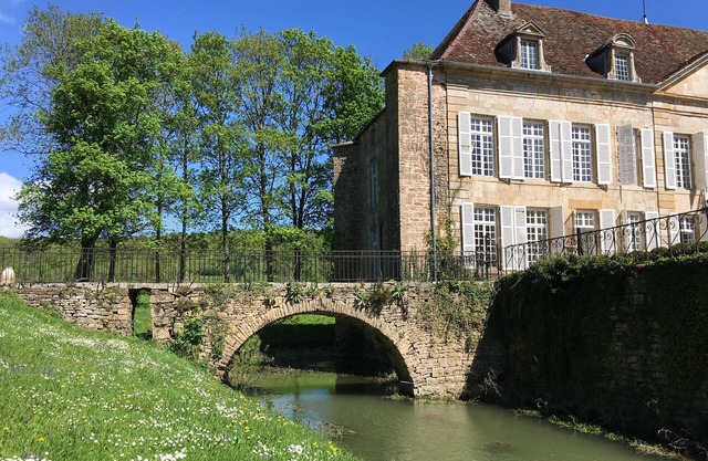 Magnificent castle with swimming pool, park, between Champagne and Burgundy