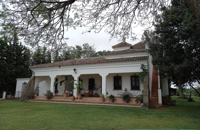 Magnificent home in Doñana 30 m from Seville