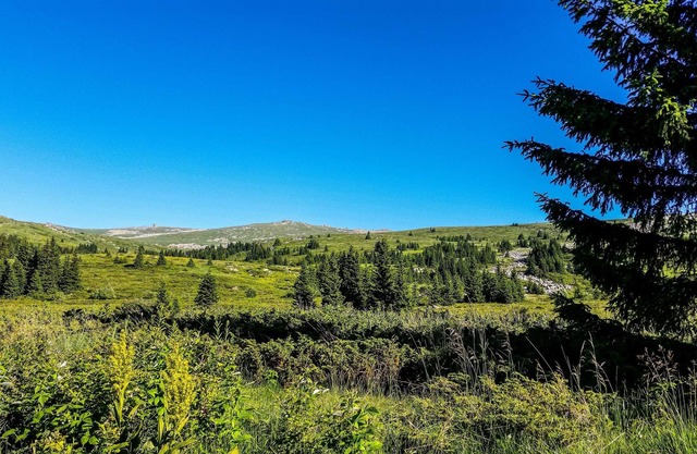 Magnificent Studio With Stunning Views Of Vitosha